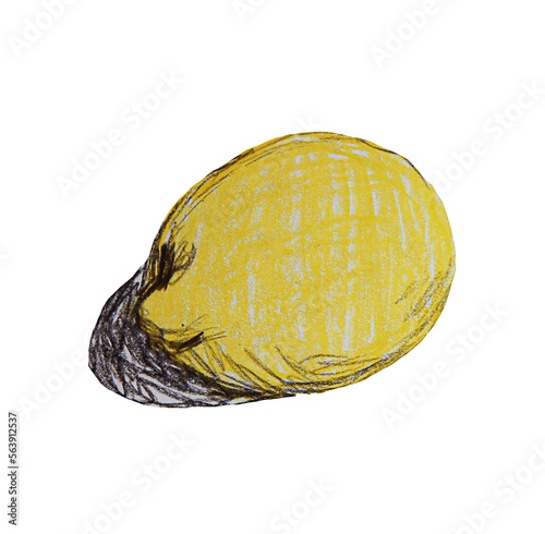 lemon isolated on white background