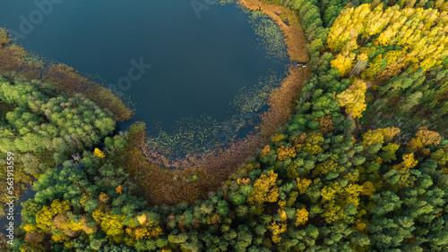 dzika zatoka nad leśnym jeziorem w otoczeniu jesiennego lasu 