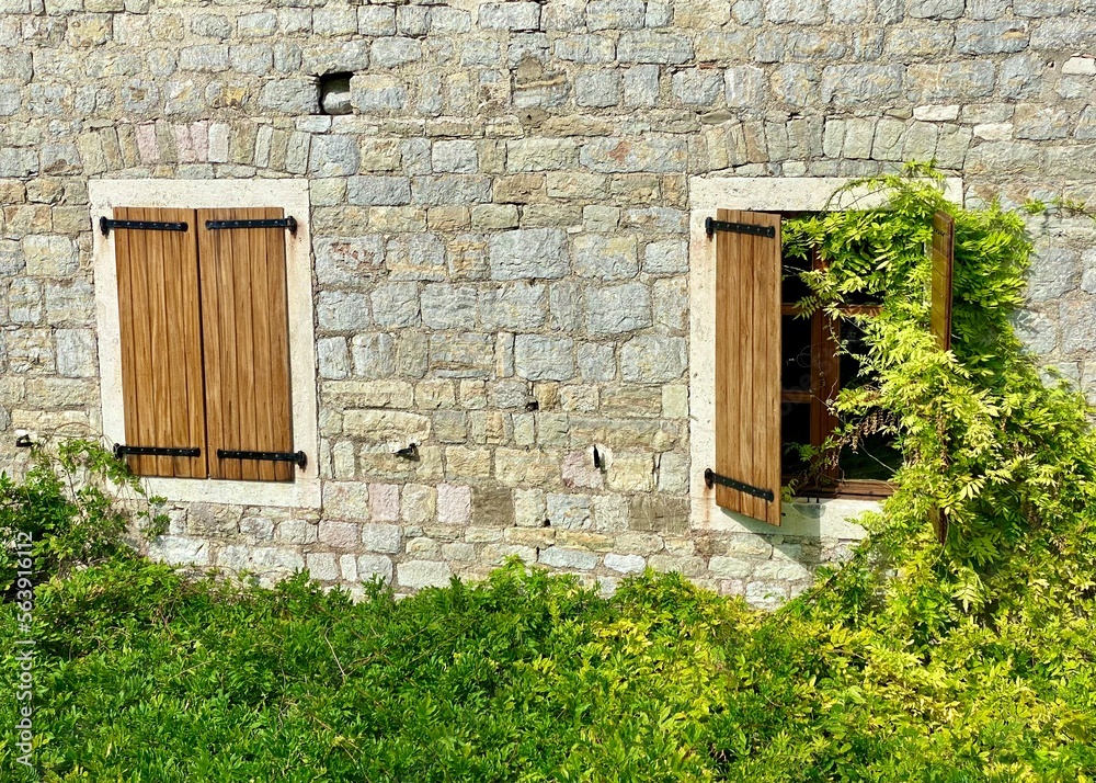 View of a green house enclosed with green plants around. Concept of a summer house. The courtyard interior. Beautiful springtime Mediterranean style courtyard. View of a green house enclosed with green plants around. Concept of a summer house. The courtyard interior. Beautiful springtime Mediterranean style courtyard.