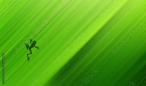 green background with leaves