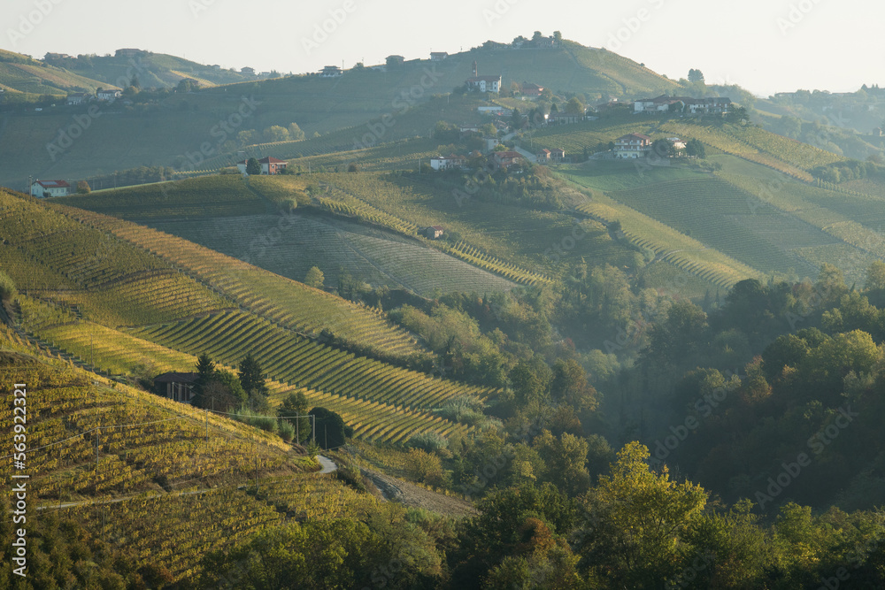 Panoramic autumn view.
Panoramic view of hills with vines and farms on top of a hill. Piemonte, Langhe area.