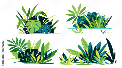 Decorative compositions of different jungle plants on ground, group of green plants isolated, dense vegetation of the jungle photo