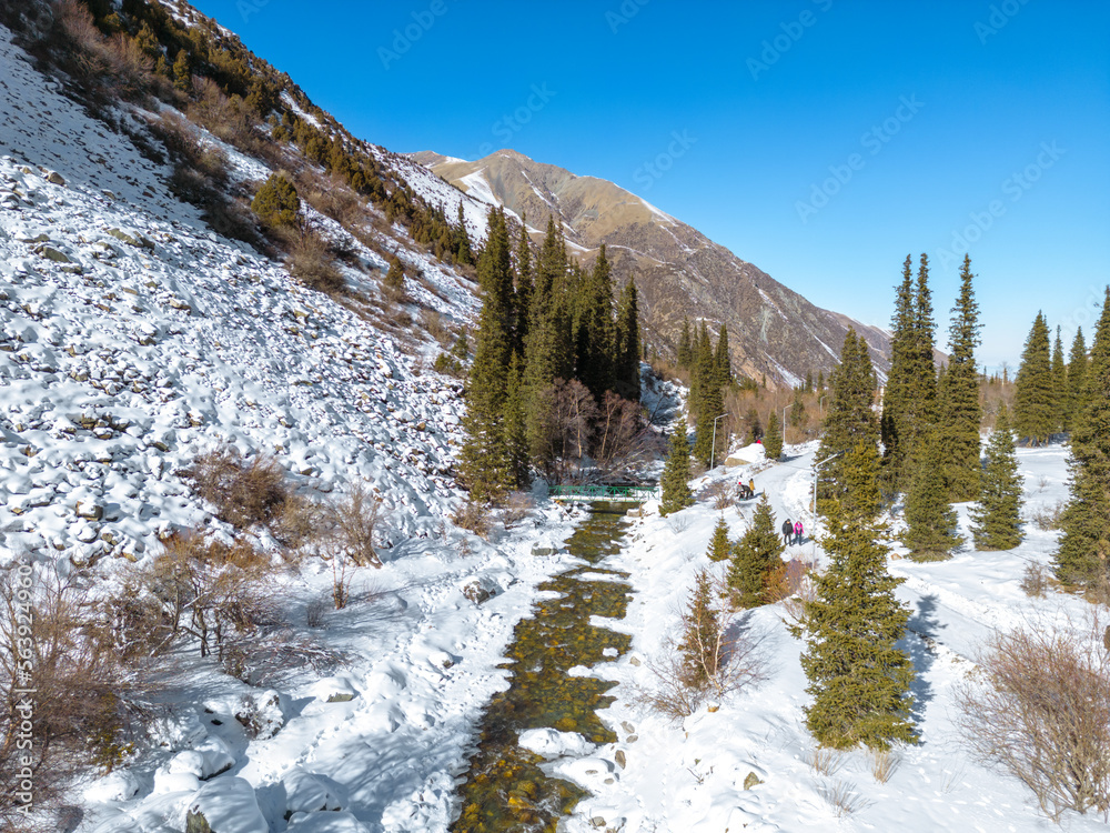 Aerial view of snow capped mountains and fir trees in the winter park Aerial view of snow capped mountains and fir trees in the winter park