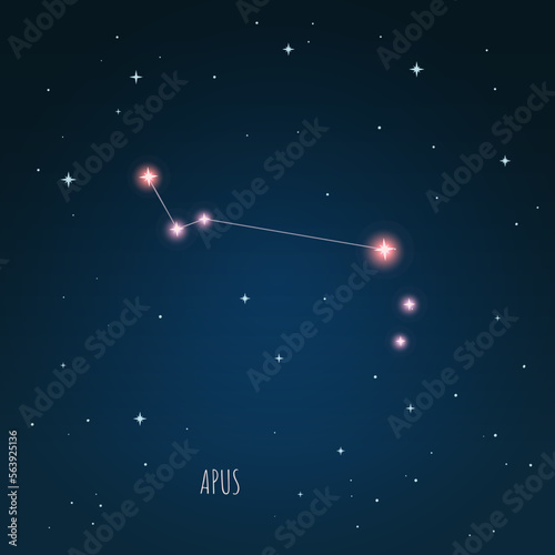 Constellation Lacerta scheme in starry sky. Open space. Vector illustration, constellation  through a telescope