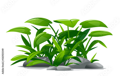 Plants with green leaves grow around stones in landscape design, detailed jungle plants on ground isolated illustration, decorative plant composition on ground, dense vegetation of the jungle