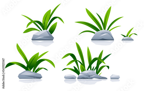 Set of different stones with green grass in landscape design, detailed green plants on ground isolated illustration, decorative plant composition on ground, dense vegetation in garden