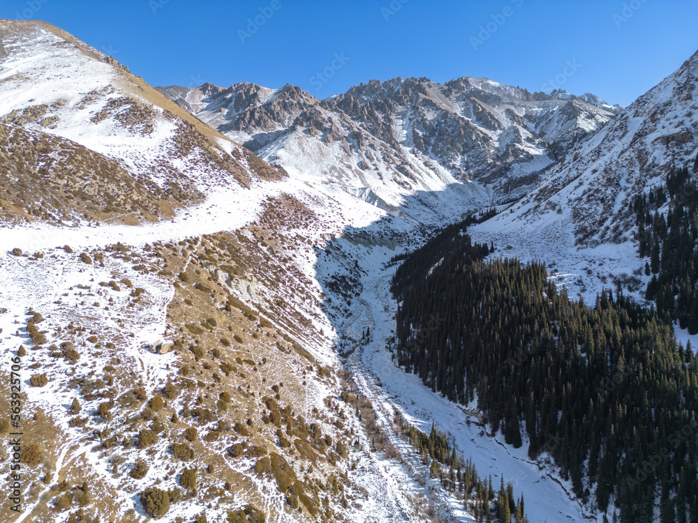Fototapeta premium Aerial view of snow capped mountains and fir trees in the winter park