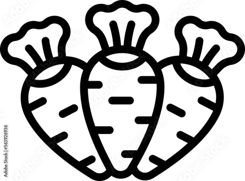 Organic carrot icon outline vector. Juice drink. Label salad