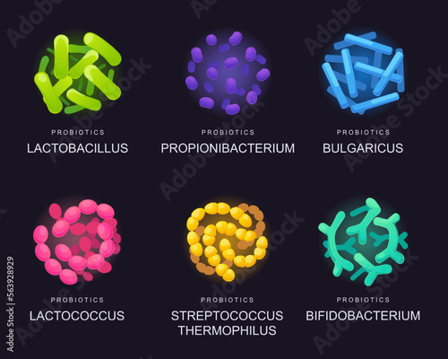 Probiotics for the gastrointestinal. Good bacteria and microorganisms for human health. Lactic acid bacterium, Bifidobacterium, lactobacillus, thermophilic streptococcus, lactococcus. photo