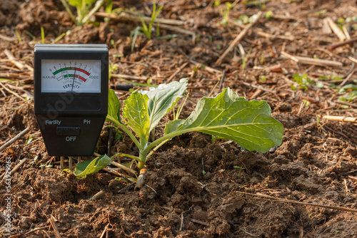 Soil meter for check the fertility value in soil a of green organic leafy vegetables plant , Agriculture technology concept.