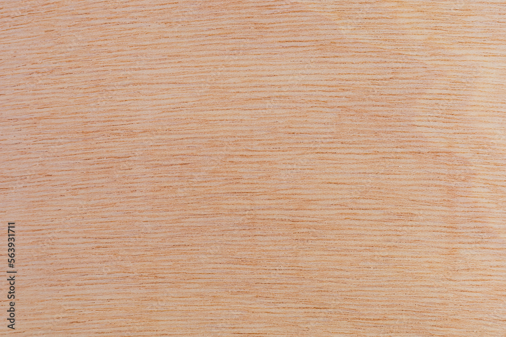 Light rough textured cut surface of an African tree. Wood background or blank for design Light rough textured cut surface of an African tree. Wood background or blank for design