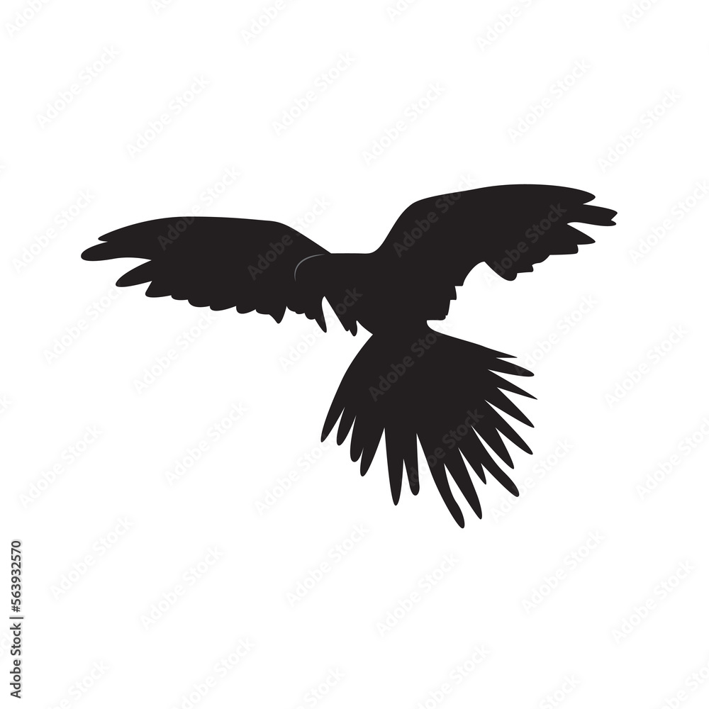 Macaw parrot in flight silhouette isolated on white. Flying bird. Macaw parrot in flight silhouette isolated on white. Flying bird.