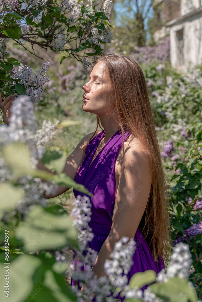 portrait of young woman with long hair outdoors in blooming lilac garden portrait of young woman with long hair outdoors in blooming lilac garden