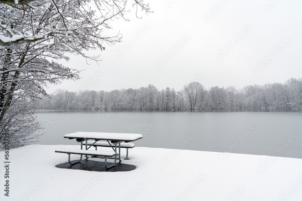 Fresh snow on a pond, tree, and picnic table
