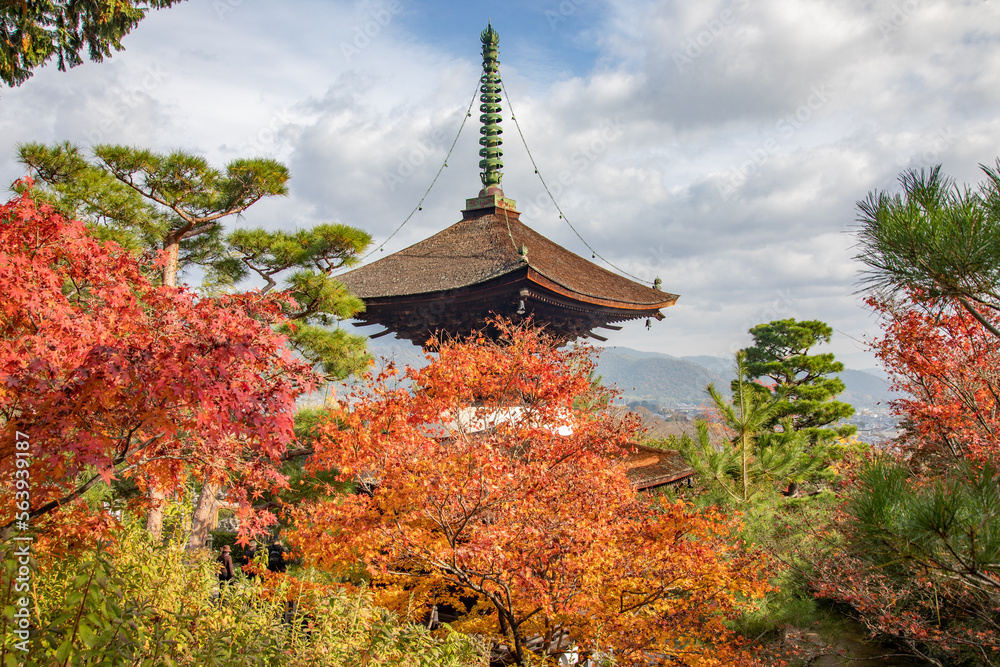 Autumn leaves at Jojakko-ji temple, Kyoto, Japan Autumn leaves at Jojakko-ji temple, Kyoto, Japan