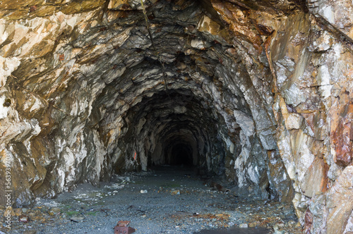 Old gold mine tunnel entrance around Salmon Glacier, Hyder, Alaska photo