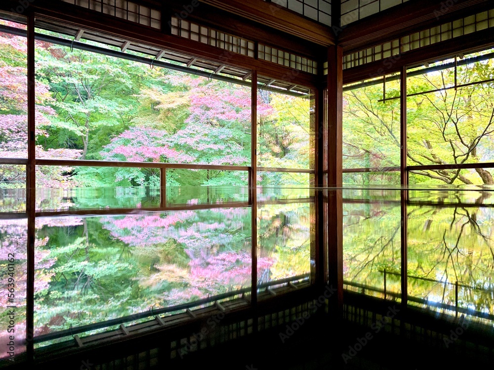 瑠璃光院 瑠璃光院