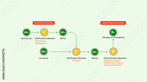 Nitrogen fixation methode by industrial, chemical, biological. 4K size for video or presentation. photo
