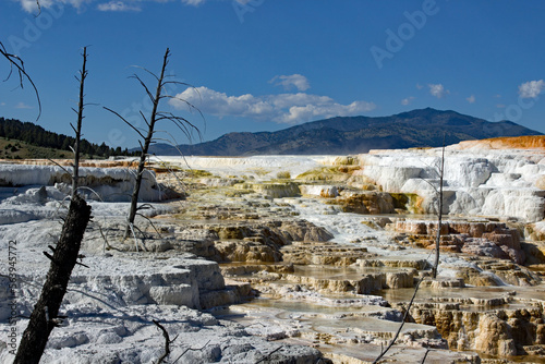 Mammoth Hot Springs / Yellowstone National Park