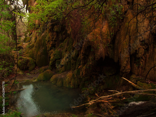 gorman falls in colorado bend state park
 photo