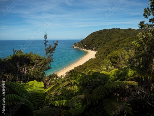 Elevated view of tropical pacific ocean beach surrounded by lush green nature in Abel Tasman National Park New Zealand