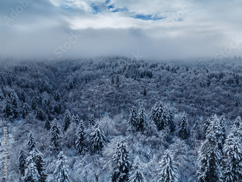 Winter in Bieszczady Mountain