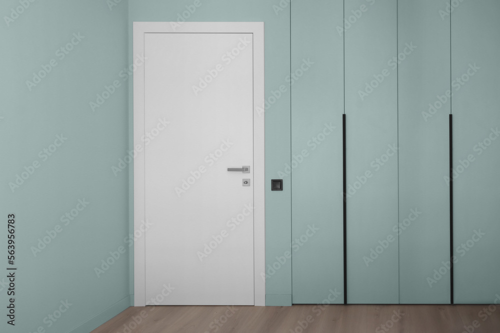 White door on the background of an empty mint wall
White door on the background of an empty mint wall