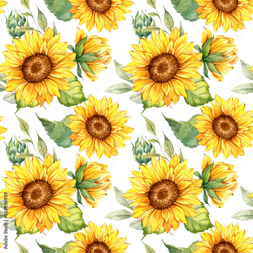 Watercolor sunflowers on a white background