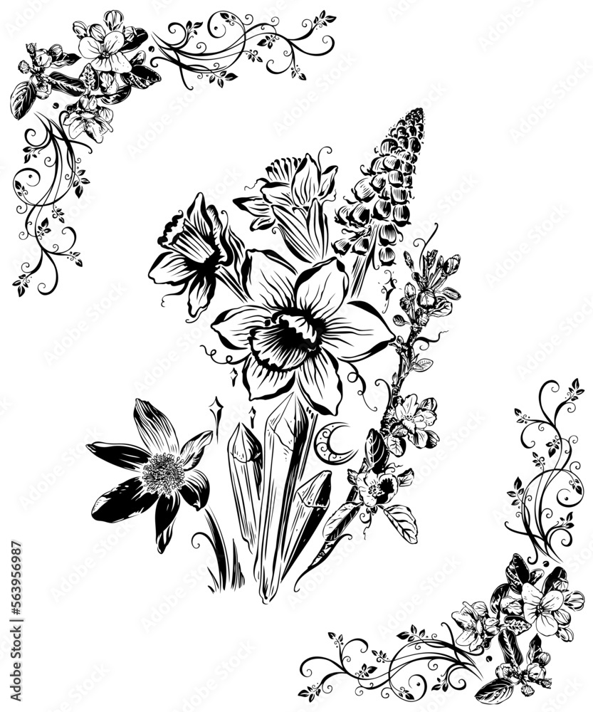 Frühlingsanfang mit Osterglocken Narzissen und Obstbaumblüten. Handgezeichnete Vektor Design Elemente für den Frühling und Ostern.