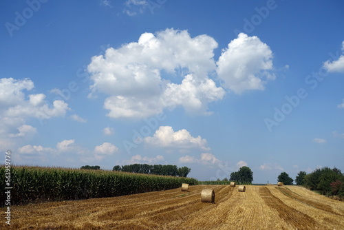 Rundballen auf einem Getreidefeld photo
