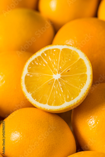 Homemade Organic Yellow Meyer Lemons