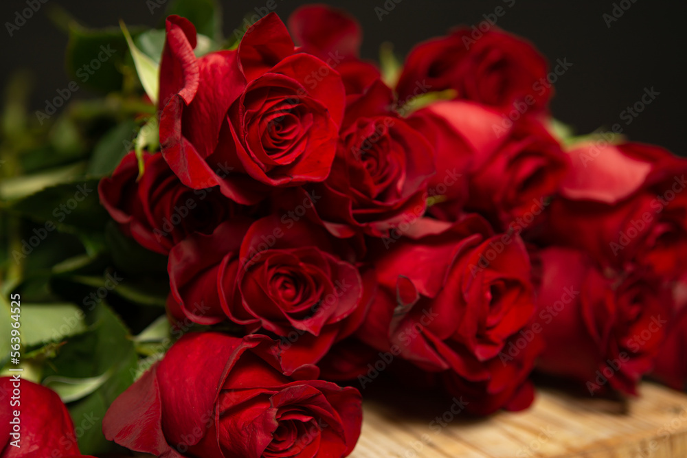 Rosas Rojas Rosas Rojas