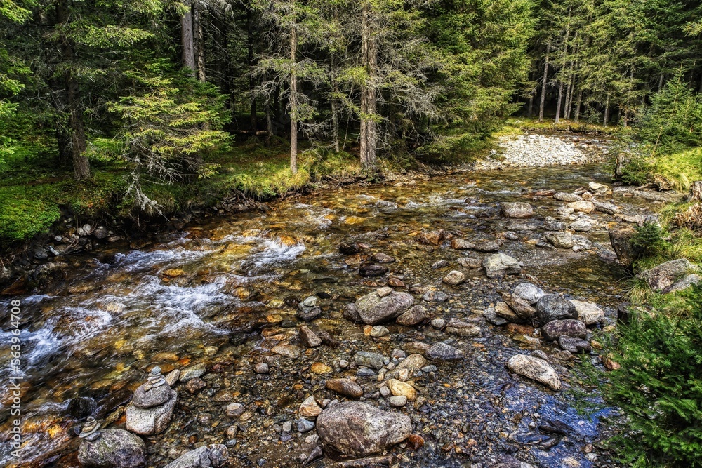 creek in the woods, Lake Etrachsee, Styria, Austria creek in the woods, Lake Etrachsee, Styria, Austria