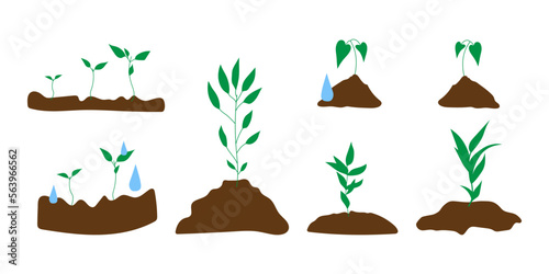 Sprout in ground illustration set, sapling seedling, green plant grows. Spring gardening theme. Green sprouts in ground with water drops. Garden care, collection of seedlings.