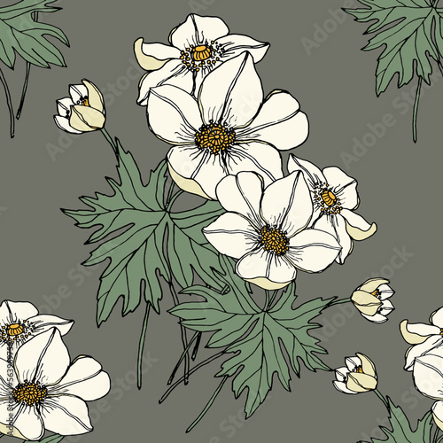 Vector seamless pattern of forest flowers anemona with leaves.