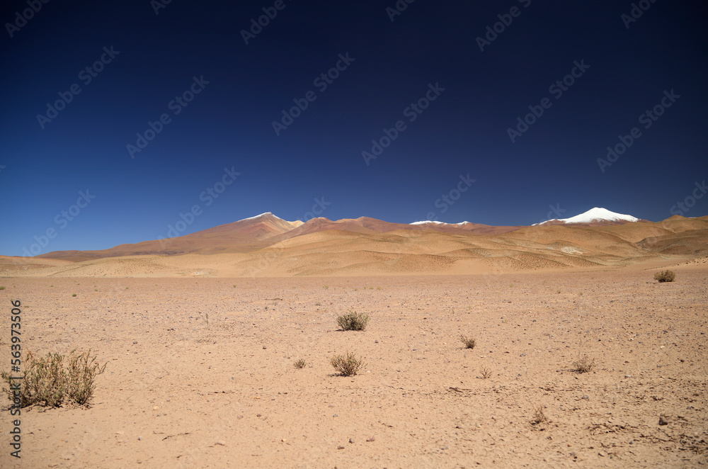 The beautiful colors of the Puna Argentina The beautiful colors of the Puna Argentina