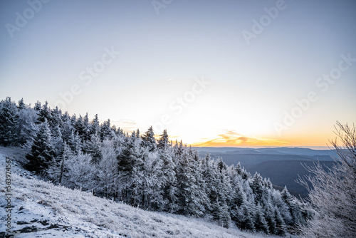 Winter wonderland sunset