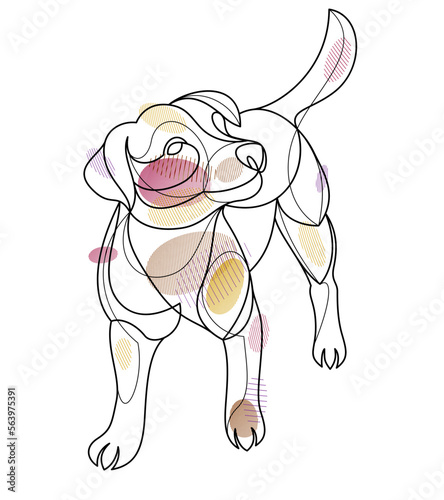 Adorable and playful Jack R...