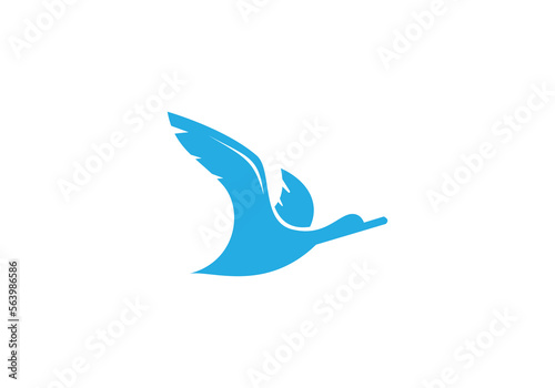 bird logo design 