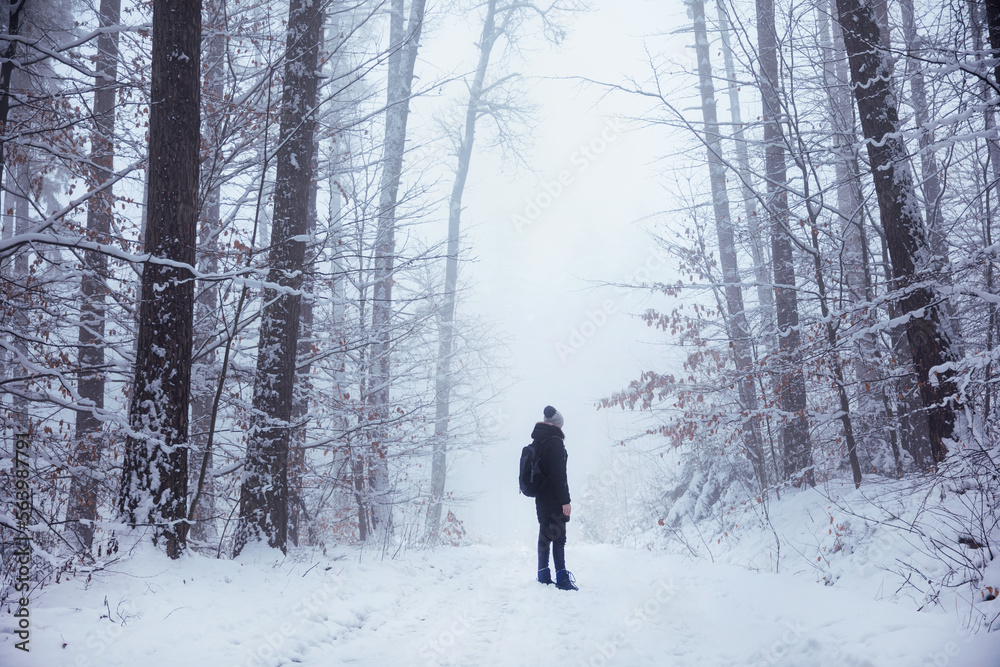 a person walking in the winter forest in the fog, a tourist in the forest a person walking in the winter forest in the fog, a tourist in the forest