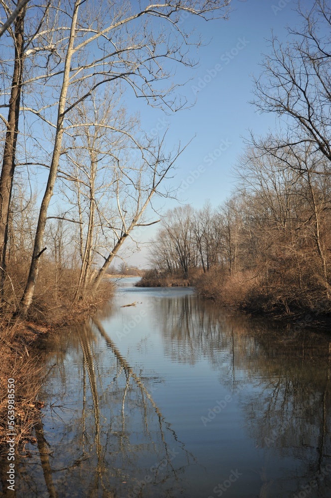 Obraz premium Winter Lake