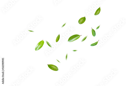 Green Floating Leaves Flying Leaves Green Leaf Dancing, Air Purifier Atmosphere Simple Main Picture. photo