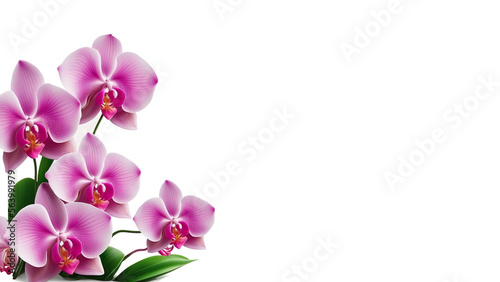 Frame of flowers pink Orchid  copy space. Greeting postcard  wallpaper  Generated AI