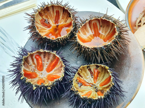 Sea urchins as delicacy and appetizer, French Riviera food, Cote d'Azur, Nice