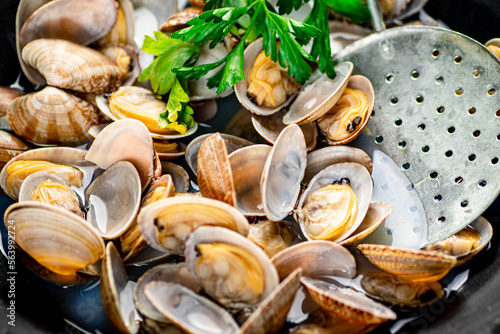 Fresh vongole. Macro background. Texture vongole.