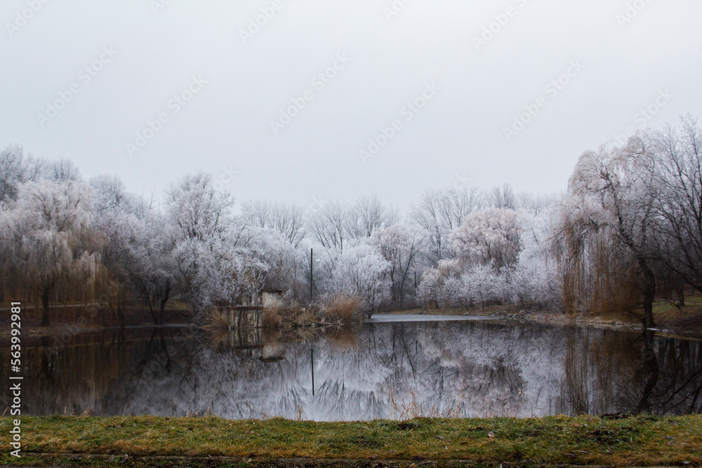 Winter landscape in Moldova on a cloudy day.