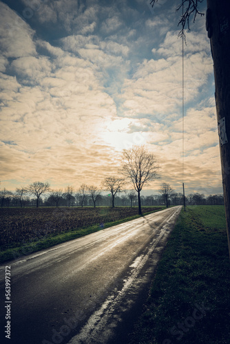 Ostfriesland 002