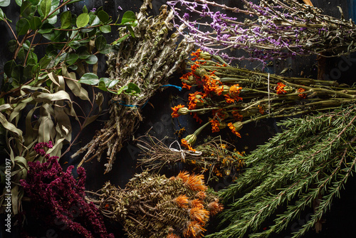Hierbas medicinales andinas
