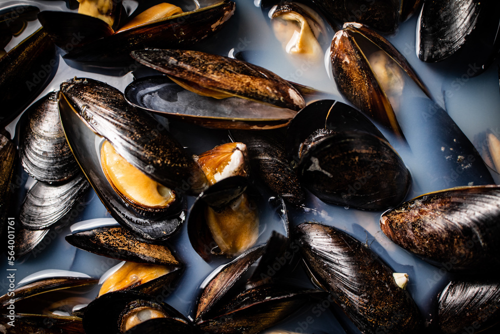 Delicious mussels are boiled in a pot of water. Delicious mussels are boiled in a pot of water.