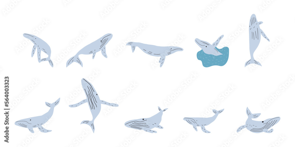 Whale, ocean animal. Sealife in Scandinavian style on a white background. Great for poster, card, apparel print. Vector illustration Whale, ocean animal. Sealife in Scandinavian style on a white background. Great for poster, card, apparel print. Vector illustration